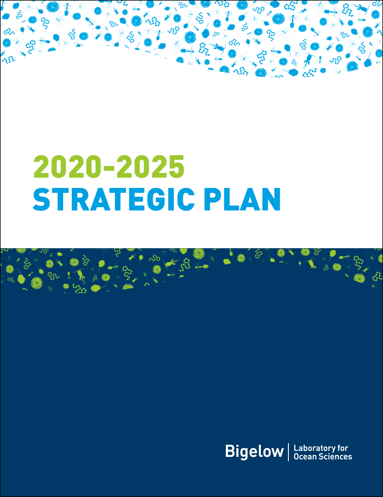 2020-2025 Strategic Plan Bigelow Laboratory for Ocean Sciences